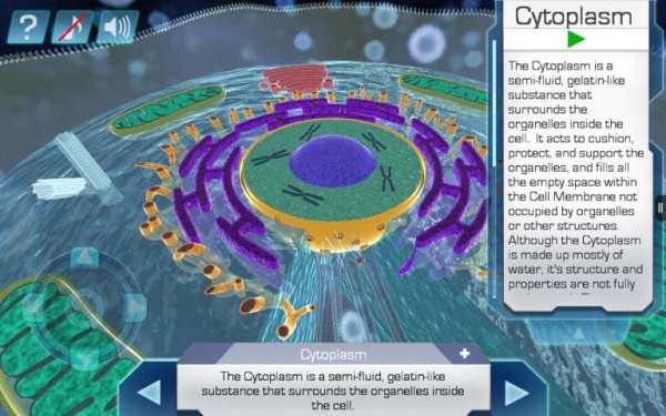 Cell World स्क्रीनशॉट 3