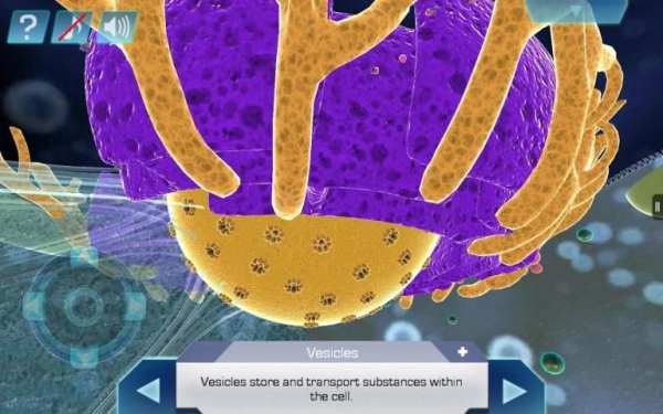 Cell World स्क्रीनशॉट 4