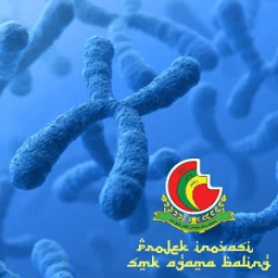 Mitosis-Meiosis icon