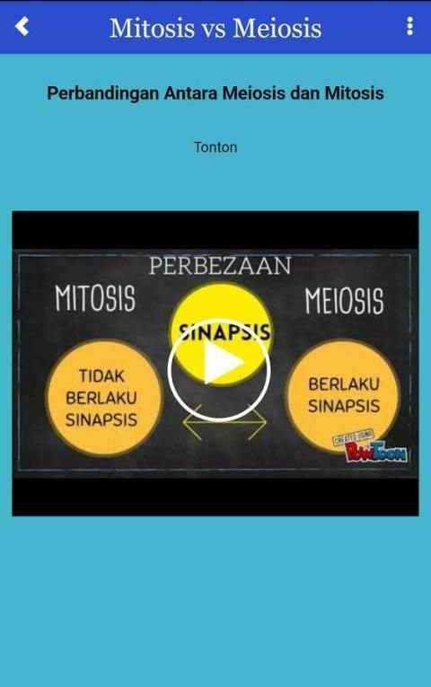 Mitosis-Meiosis скриншот 4