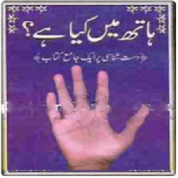 Palmistry in Urdu иконка