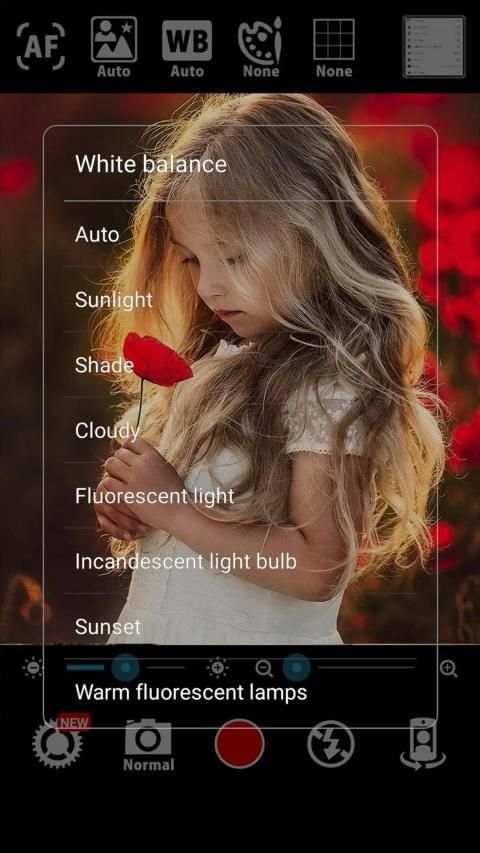 Tale Camera screenshot 1