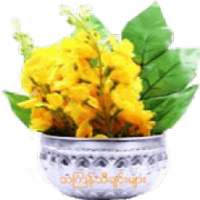 သင်္ကြန်သီချင်း