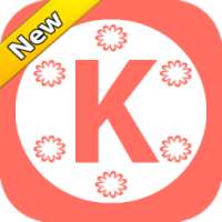 Pro KineMaster Editor Tips