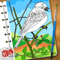ikon Super Birds Kids Coloring Game