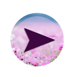 MP5 Player HD أيقونة