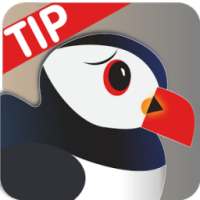 New Puffin Browser Tip 2017