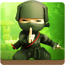 Ninja Assassin иконка