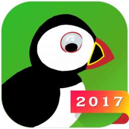 Free Puffin Browser 2017 Tips