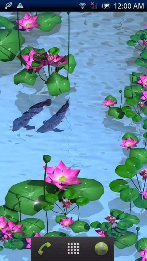 Arowana Paradise Trial screenshot 2