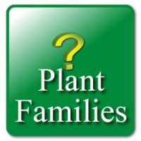 Key: Plant Families