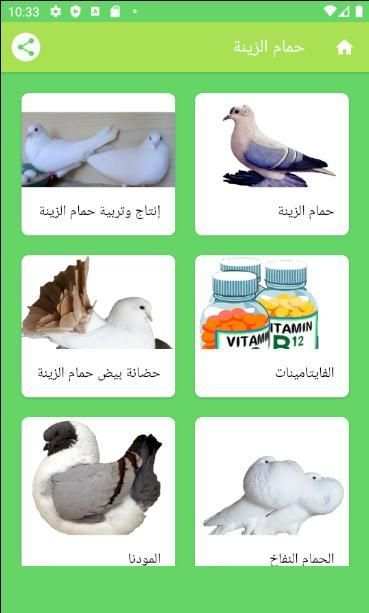 هواة الطيور
‎ screenshot 4