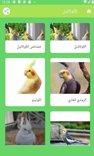 هواة الطيور
‎ screenshot 6