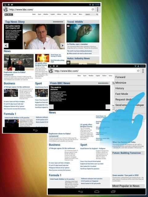 Floating Browser скриншот 2