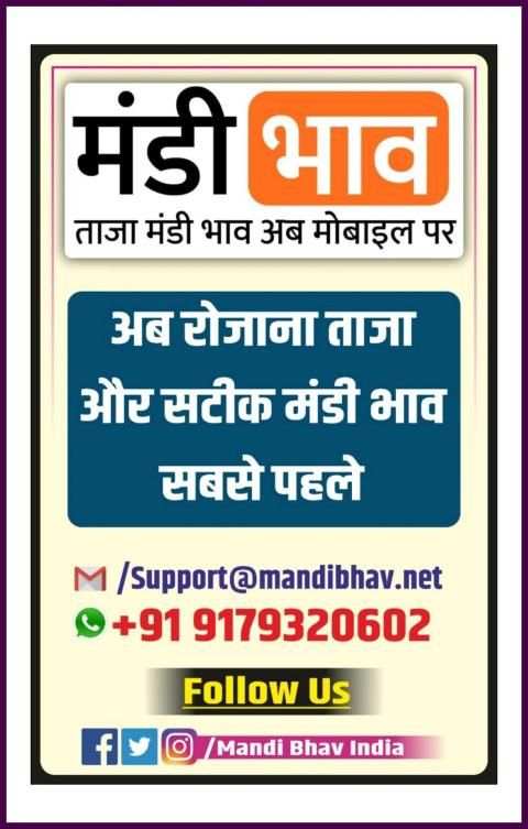 Mandi Bhav - मंडी भाव screenshot 1