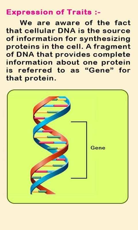 Biology IV скриншот 4