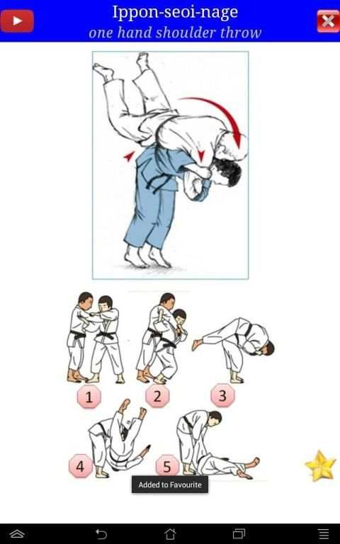 Judo in brief screenshot 13