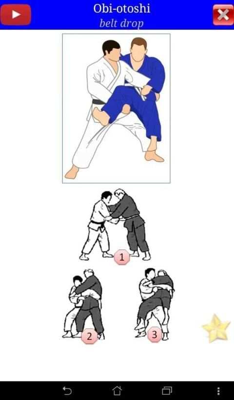 Judo in brief screenshot 8