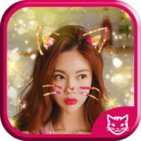 Cat face filters Photo&sticker on 9Apps