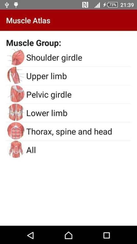 Anatomy: Atlas of Muscles screenshot 6