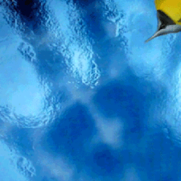 Yellow Orange Fish LWP أيقونة