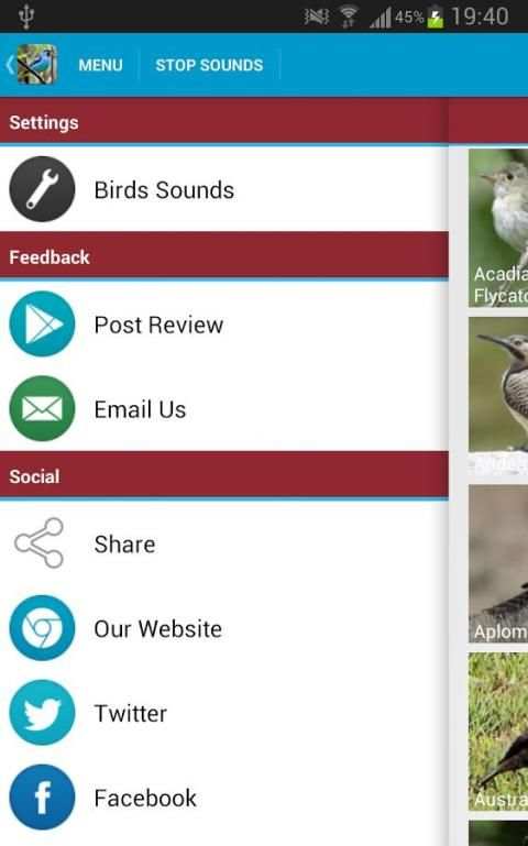 South American Birds скриншот 16