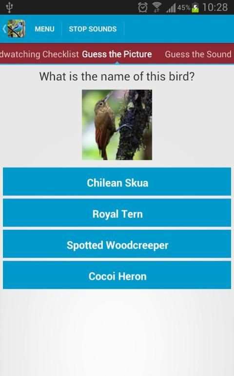 South American Birds скриншот 20
