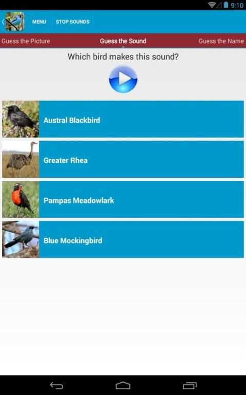 South American Birds скриншот 4