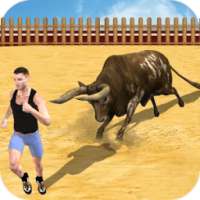 Fury Bull Fight 3D