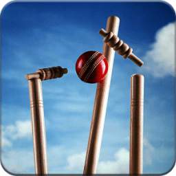 Daily Cricket Highlights