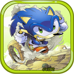Guide for sonic icon