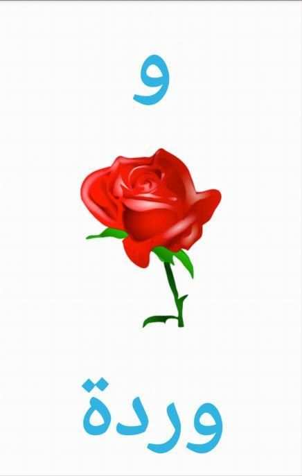 The Arabic Alphabet screenshot 8