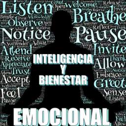 Inteligencia Emocional