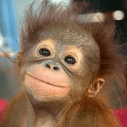 ikon 600 words, collection.