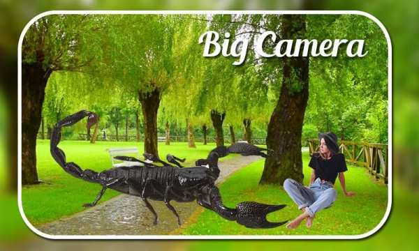 Big Camera screenshot 1