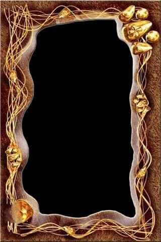 Beautiful PhotoFrames screenshot 5