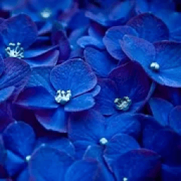 More than 400 words icon