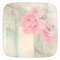 الوردي الورود موضوع الحب on 9Apps