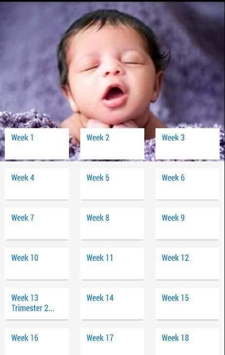 Pregnancy Stages 13 تصوير الشاشة
