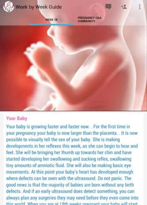 Pregnancy Stages 3 تصوير الشاشة