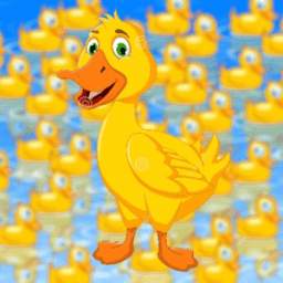 Five Little Ducks Song 1.1.2