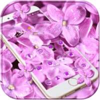 Lilac lavender dewdrop theme