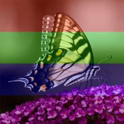 Photo Effects आइकन