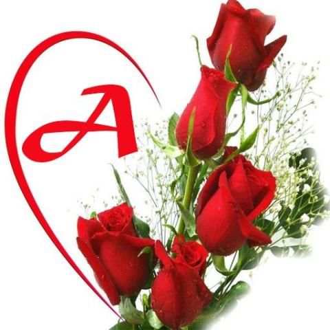 ملصقات حروف WAStickerApps
‎ screenshot 4