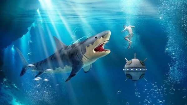 Angry Shark Attack स्क्रीनशॉट 4