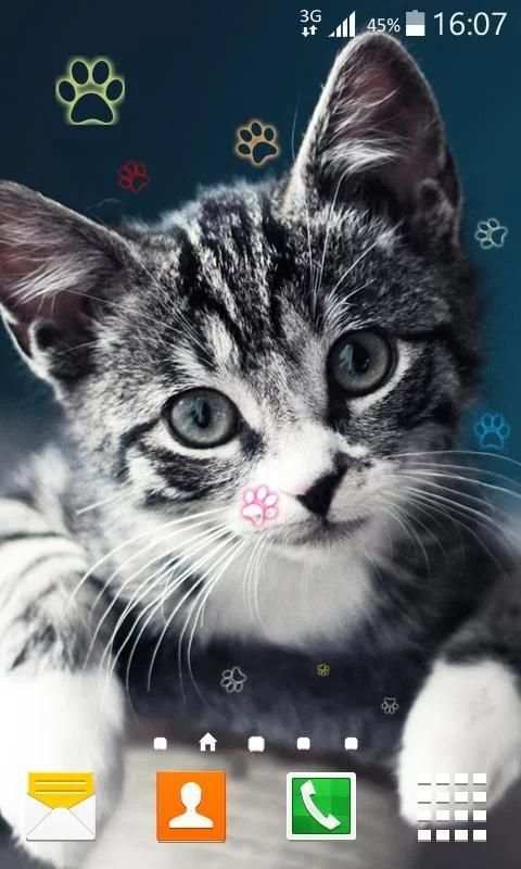 Kitty Live Wallpaper screenshot 3