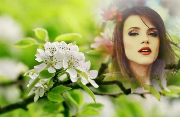 Sakura Photo Frames screenshot 1