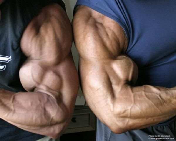 biceps workout :free download 1 تصوير الشاشة