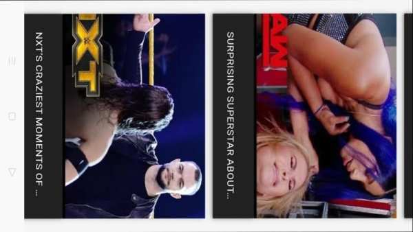 WWE screenshot 1