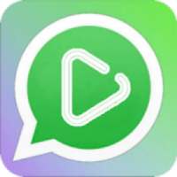 ikon videom